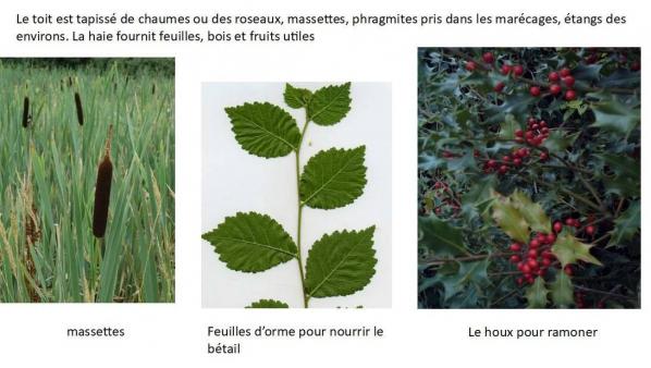 Utilitaire 2